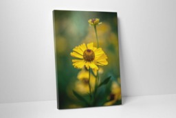 Rackhams Golden Elegance - Framed Print 30 x 20 inch - thumbnail 2