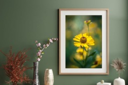 Rackhams Golden Elegance - Framed Print 30 x 20 inch - thumbnail 1