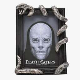 Rackhams Harry Potter Dark Arts Nagini 4x6 Inch Photo Frame WB314