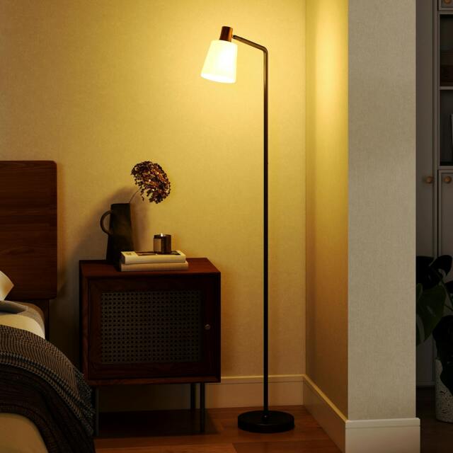 Rackhams Standing Lamp with Rotatable Head, Modern Floor Lamp, Black - Black - image 1