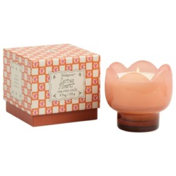 Rackhams Paddywax Tulip Range Glass Candle - 5.5oz - Orange - Cactus Flower