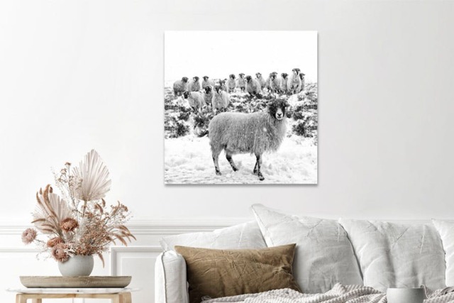 Rackhams Leader of the Flock - Framed Print 20 x 20 inch - image 1