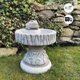 Rackhams Rustic Garden Birdbath with Frog atop - thumbnail 2