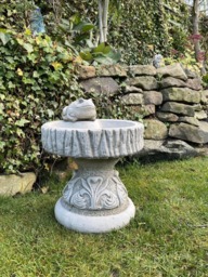 Rackhams Rustic Garden Birdbath with Frog atop - thumbnail 5