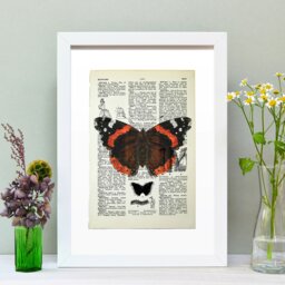 Rackhams Red Admiral butterfly vintage book page art print - White - thumbnail 1