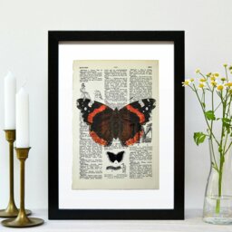 Rackhams Red Admiral butterfly vintage book page art print - White - thumbnail 2