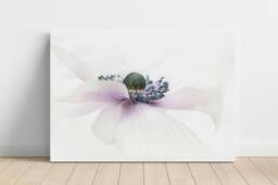 Rackhams Botanical Elegance - Framed Print 16 x 12 inch - thumbnail 2