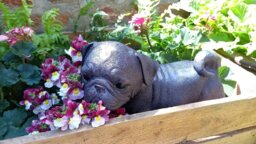 Rackhams Pug Dog Garden Sculpture Ornament Decor - Polystone Resin - 1 - Bronze - thumbnail 4