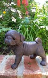 Rackhams Pug Dog Garden Sculpture Ornament Decor - Polystone Resin - 1 - Bronze - thumbnail 3