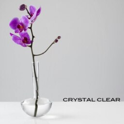 Rackhams - Gauge Vase 17 - Crystal Clear - thumbnail 2