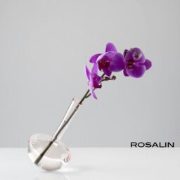 Rackhams - Gauge Vase 17 - Crystal Clear - thumbnail 3