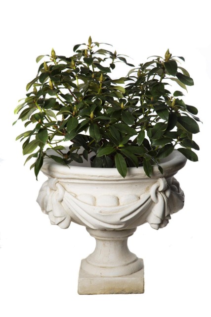 Rackhams Large White/cream Draped Georgian Style Vase Planter Urn - image 1