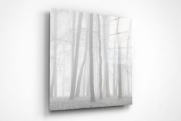 Rackhams Beeches in Mist - Framed Print 20 x 20 inch - thumbnail 2