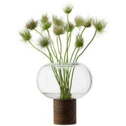 Rackhams LSA Oblate Glass Vase Lantern 21.5cm with Walnut Base Clear - Glass - 1 - Clear - thumbnail 2