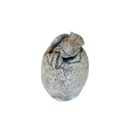 Rackhams Small Stone Cast Velociraptor Garden Sculpture Dinosaur Animal Statue - thumbnail 5