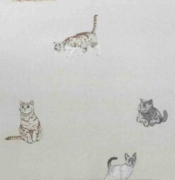 Rackhams Purrrfect Reversible Duvet Cover Set Cats and Stripes Bedding Natural - Natural - King - thumbnail 3