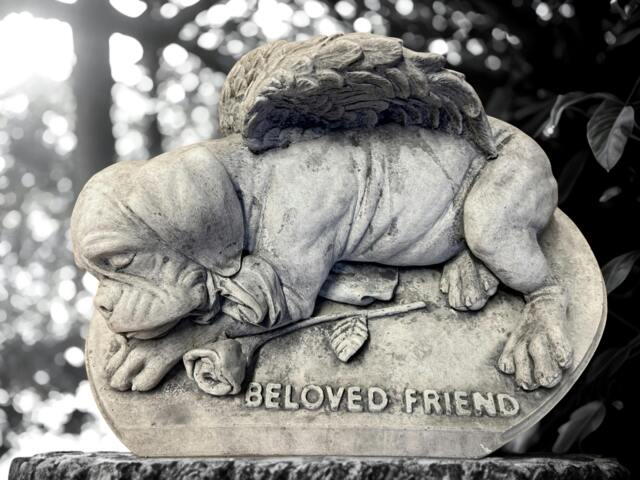 Rackhams Large Dog Stone Pet Memorial Garden Ornament - image 1