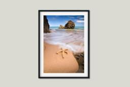 Rackhams Starfish - Framed Print 20 x 16 inch - thumbnail 2
