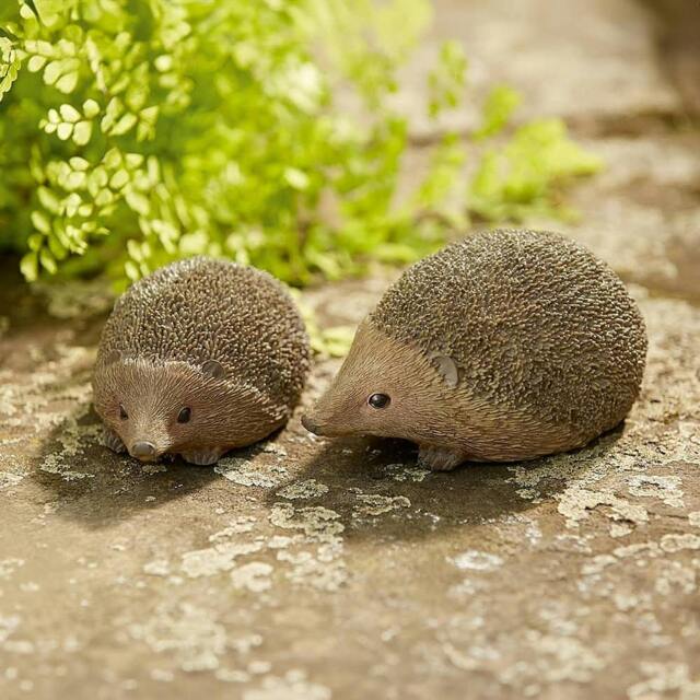 Rackhams Hedgehog Ornaments, Pair of Two Garden Sculptures
