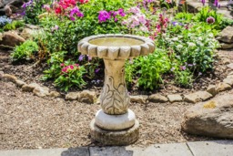 Rackhams Daisy' Design Birdbath with flower-shaped Basin - thumbnail 3