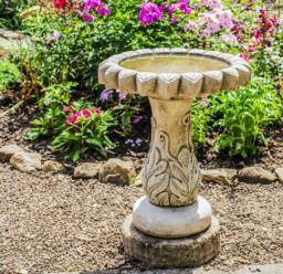 Rackhams Daisy' Design Birdbath with flower-shaped Basin - thumbnail 4