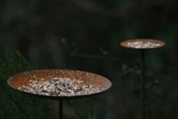 Rackhams Bird Feeder Platform - Large - thumbnail 3