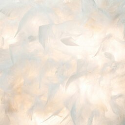 Rackhams Contemporary and Unique Large White Real Feather Decorated Pendant Light Shade - thumbnail 3