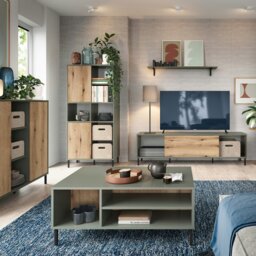 Rackhams Darwin TV Cabinet 1 Door 50cm High in Green/Oak - 1 - thumbnail 3
