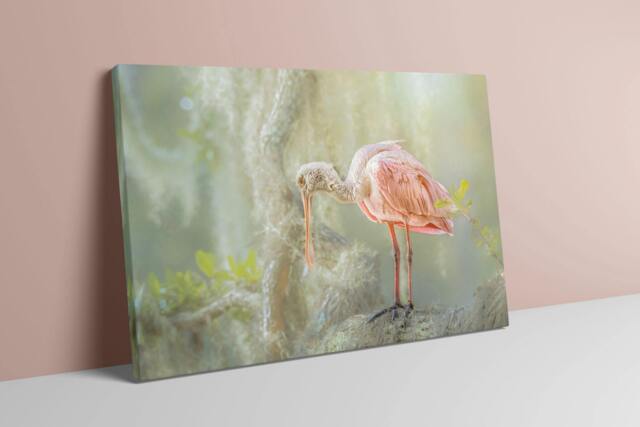 Rackhams The Gentle Watcher - Framed Print 16 x 12 inch - image 1