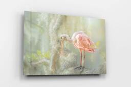 Rackhams The Gentle Watcher - Framed Print 16 x 12 inch - thumbnail 3