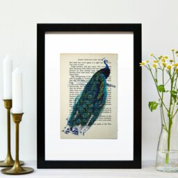 Rackhams Peacock vintage book page art print - No frame - thumbnail 3