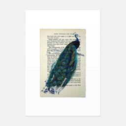Rackhams Peacock vintage book page art print - No frame - thumbnail 1