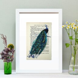 Rackhams Peacock vintage book page art print - No frame - thumbnail 2