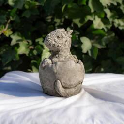 Rackhams Small Stone Cast Baby Pachyceph Dinosaur Garden Sculpture - thumbnail 2