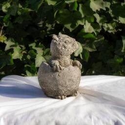 Rackhams Small Stone Cast Baby Pachyceph Dinosaur Garden Sculpture - thumbnail 3