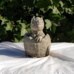 Rackhams Small Stone Cast Baby Pachyceph Dinosaur Garden Sculpture