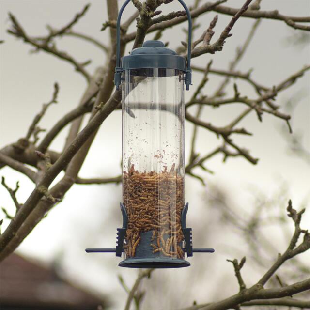 Rackhams Hanging Bird Feeder - image 1