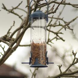 Rackhams Hanging Bird Feeder - thumbnail 1
