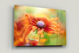 Rackhams Dancing Rudbeckia - Framed Print 20 x 16 inch - thumbnail 1