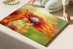 Rackhams Dancing Rudbeckia - Framed Print 20 x 16 inch - thumbnail 3