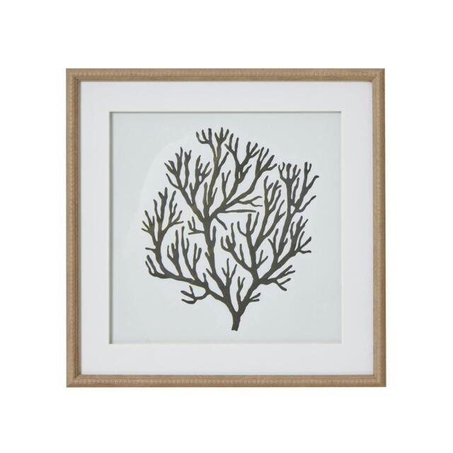 Rackhams Atol Coral Framed Art Print - Brown/Grey/White - 40cm x 2cm x 40cm - Brown/Grey/White - image 1