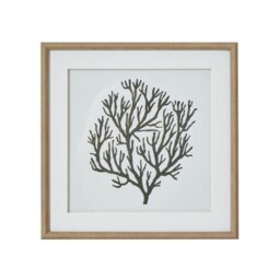 Rackhams Atol Coral Framed Art Print - Brown/Grey/White - 40cm x 2cm x 40cm - Brown/Grey/White - thumbnail 2