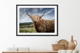 Rackhams Guardian of the Glen - Framed Print 30 x 20 inch
