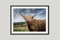 Rackhams Guardian of the Glen - Framed Print 30 x 20 inch - thumbnail 3