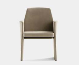 Rackhams Aster Anthony Dining Chair: Velvet Upholstery, Brass Accents, Modern Design - thumbnail 4