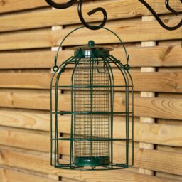 Rackhams Pack of 2 Samuel Alexander Metal Hanging Bird Nut Feeder with Squirrel Guard & Pack of Nut Feed - thumbnail 4