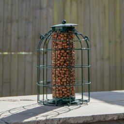 Rackhams Pack of 2 Samuel Alexander Metal Hanging Bird Nut Feeder with Squirrel Guard & Pack of Nut Feed - thumbnail 3
