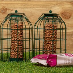 Rackhams Pack of 2 Samuel Alexander Metal Hanging Bird Nut Feeder with Squirrel Guard & Pack of Nut Feed - thumbnail 1