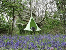 Rackhams Single Cacoon Hanging Chair - Leaf Green - thumbnail 3