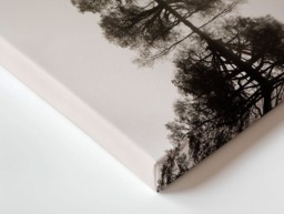 Rackhams Misty Loch Ard - Framed Print 20 x 16 inch - thumbnail 3